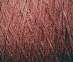 0021 Burgundy