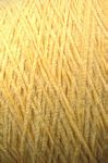 0006 Cornsilk