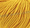 Cara 725 Team Yellow