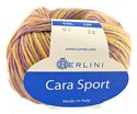Cara Sport