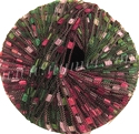 104 Coleus