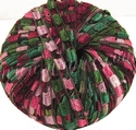 104 Coleus
