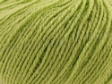 2211 Daiquiri Green