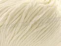 Smile 13 Polar White
