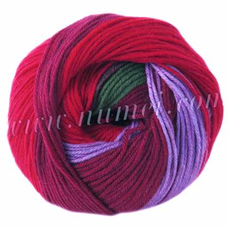 Berlini Merino Velvet Sock 110 Coleus